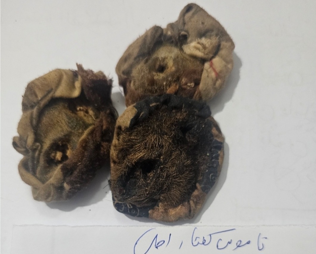 مهره مار، ناموس کفتار