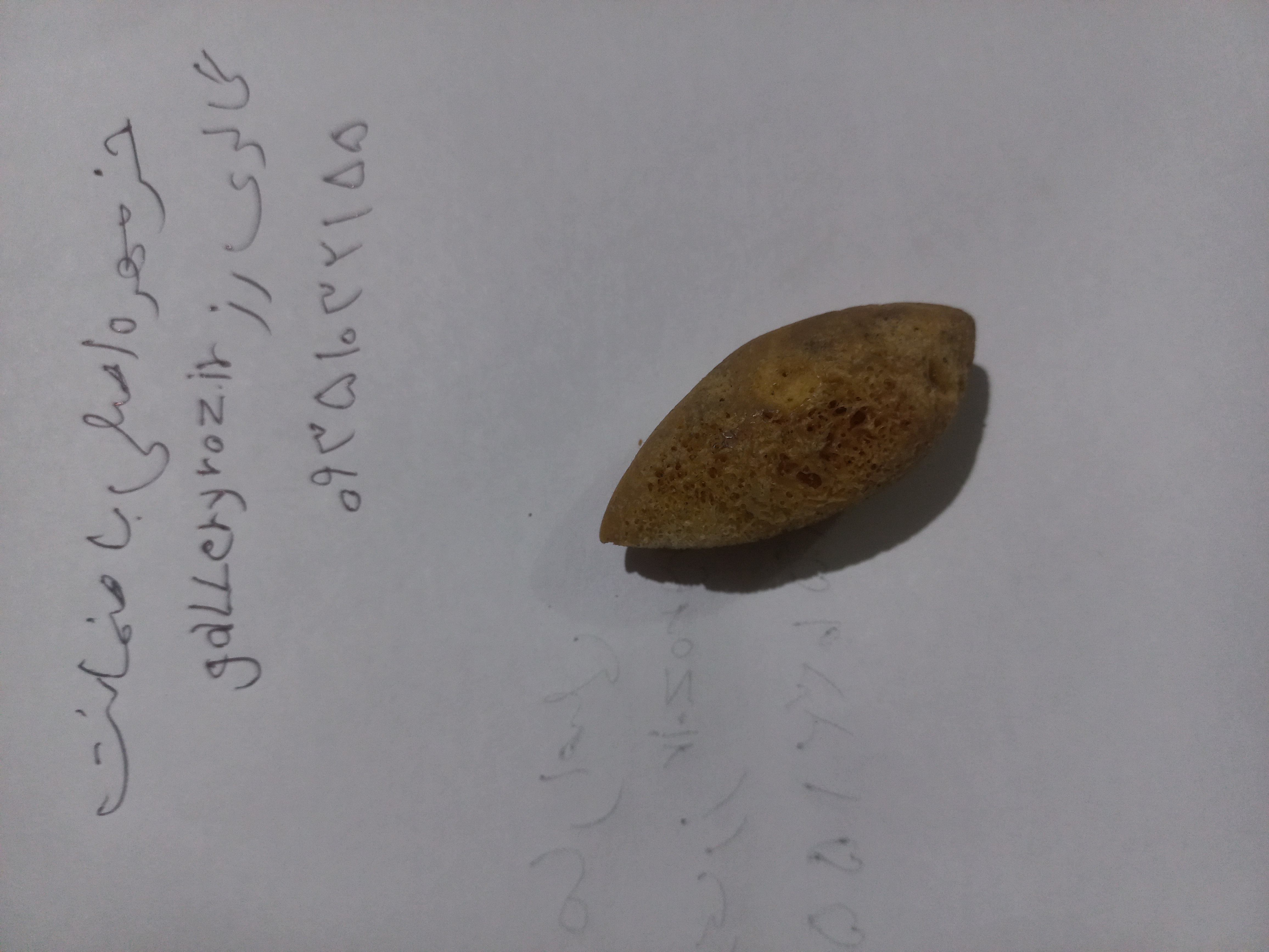 خرمهره اصلی باضمانت
