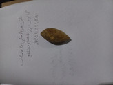 خرمهره اصلی باضمانت
