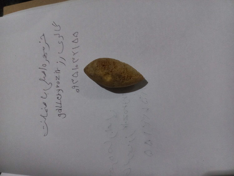 خرمهره اصلی باضمانت
